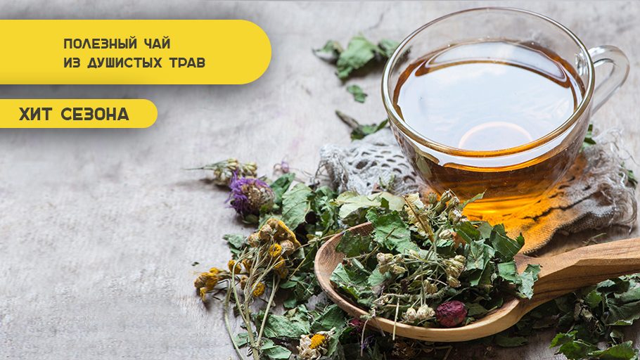 Полезный чай из душистых трав. Хит сезона